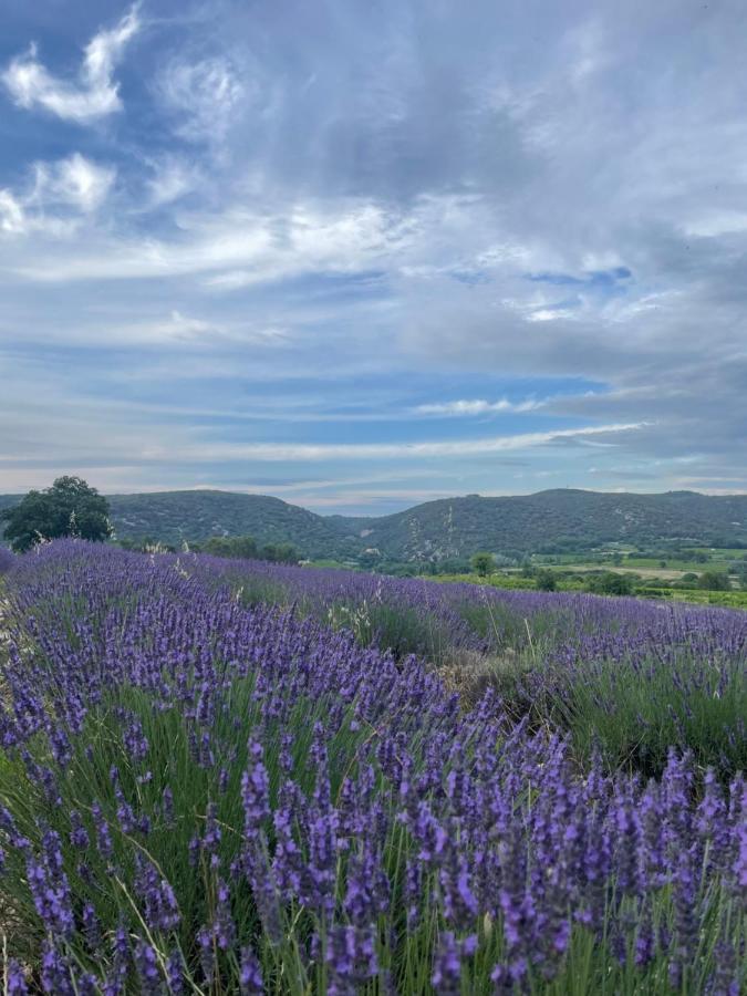 Gîte passiflore Frigoulet Esterno foto